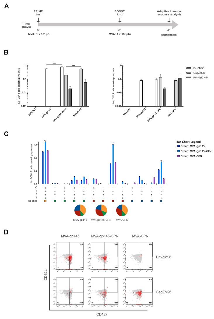 https://cdn.ncbi.nlm.nih.gov/pmc/blobs/b979/6410222/d2716e4e7e76/viruses-11-00160-g003.jpg
