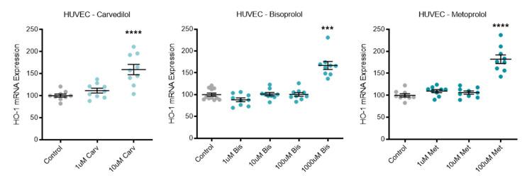 https://cdn.ncbi.nlm.nih.gov/pmc/blobs/b979/8348612/078cfb37c359/jcm-10-03384-g005.jpg