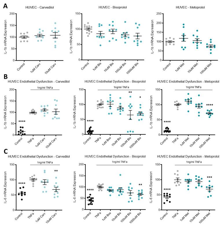 https://cdn.ncbi.nlm.nih.gov/pmc/blobs/b979/8348612/27c23b3c8eb3/jcm-10-03384-g004a.jpg