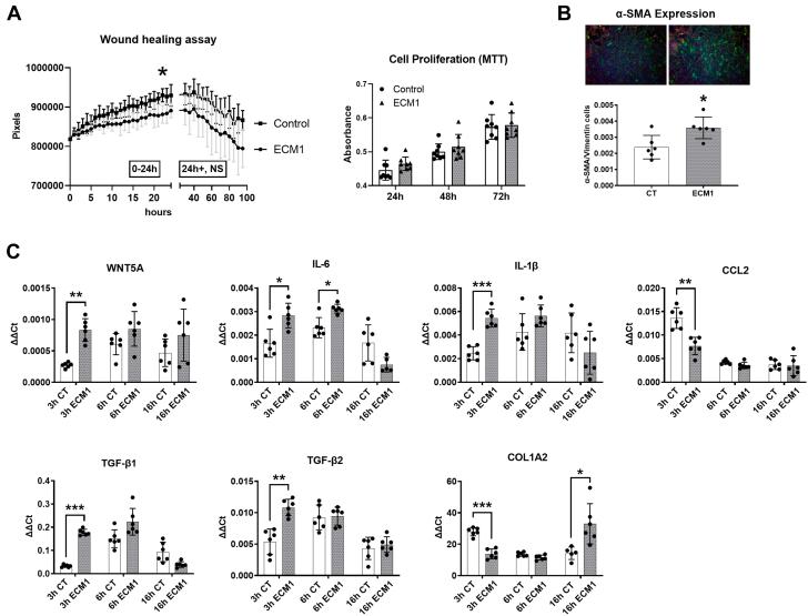 https://cdn.ncbi.nlm.nih.gov/pmc/blobs/b97b/10774582/6e2f11c9727f/gr4.jpg