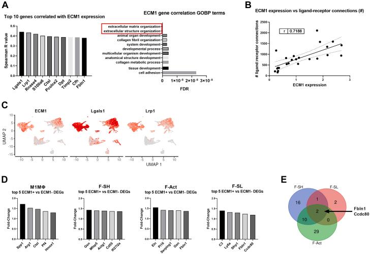 https://cdn.ncbi.nlm.nih.gov/pmc/blobs/b97b/10774582/96be3e41dded/gr3.jpg
