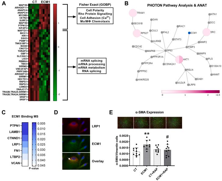 https://cdn.ncbi.nlm.nih.gov/pmc/blobs/b97b/10774582/b8599ad2746d/gr5.jpg