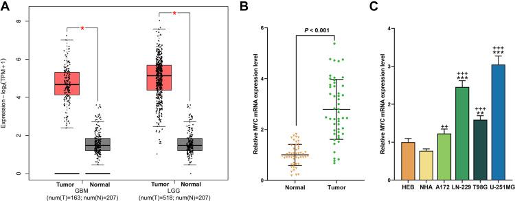 https://cdn.ncbi.nlm.nih.gov/pmc/blobs/b97b/8089107/9610f79a5730/DDDT-15-1749-g0001.jpg