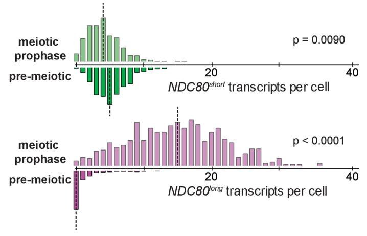 https://cdn.ncbi.nlm.nih.gov/pmc/blobs/b97f/5655150/328e0146ea39/elife-27417-fig2-figsupp6.jpg