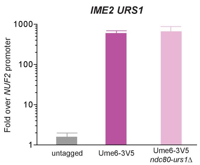 https://cdn.ncbi.nlm.nih.gov/pmc/blobs/b97f/5655150/5a4944030822/elife-27417-fig6-figsupp3.jpg