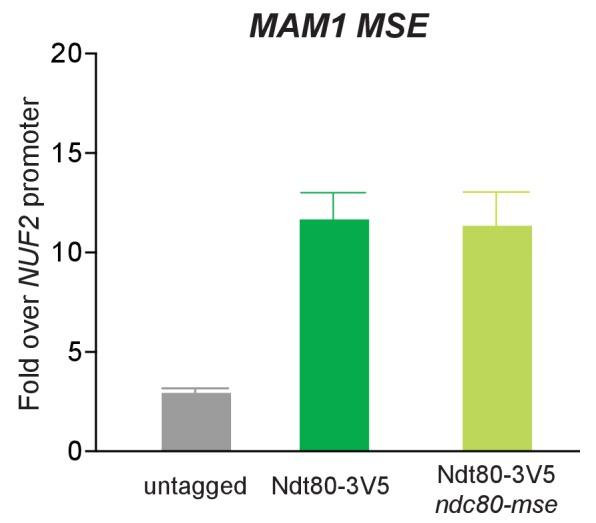 https://cdn.ncbi.nlm.nih.gov/pmc/blobs/b97f/5655150/fa23e1e74ced/elife-27417-fig6-figsupp4.jpg