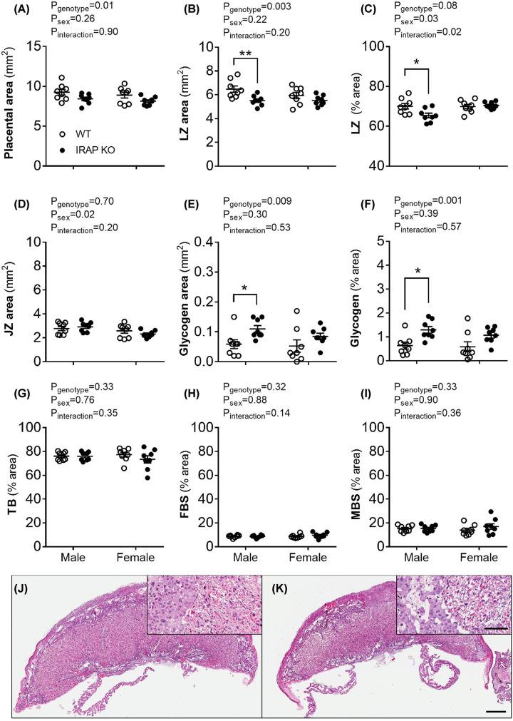 https://cdn.ncbi.nlm.nih.gov/pmc/blobs/b980/7733041/36470f5df7f6/cs-134-cs20201233-g7.jpg