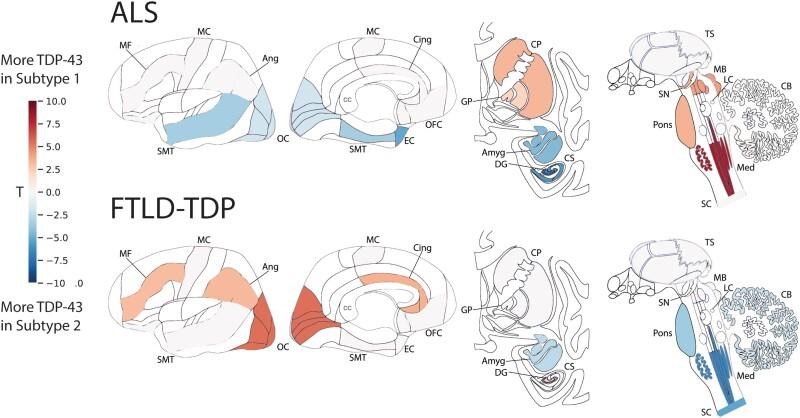 https://cdn.ncbi.nlm.nih.gov/pmc/blobs/b986/10317181/22cc690d6abe/awad145f6.jpg