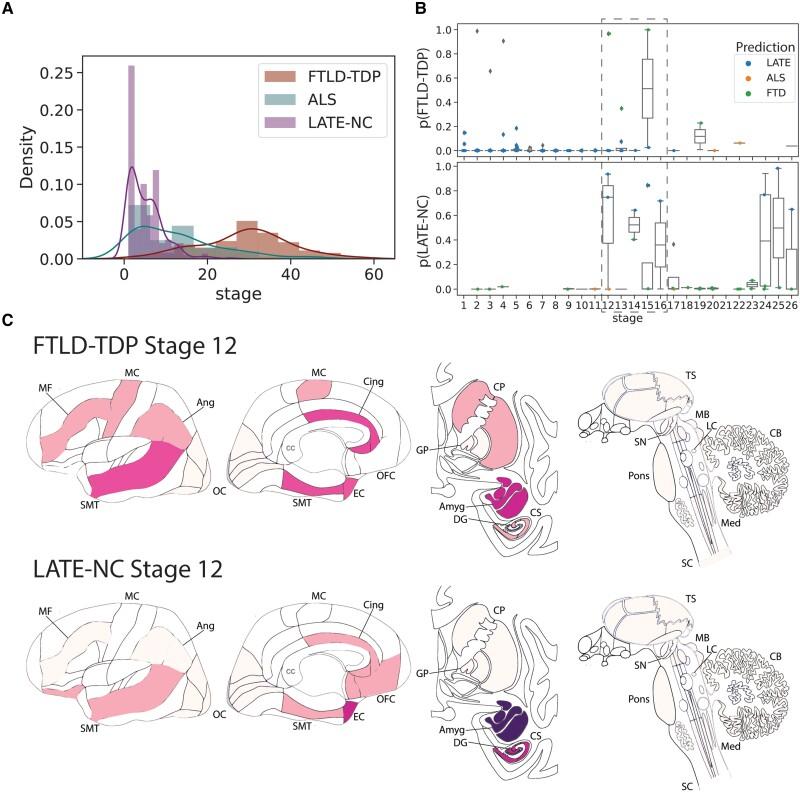 https://cdn.ncbi.nlm.nih.gov/pmc/blobs/b986/10317181/dec45784f7bf/awad145f5.jpg