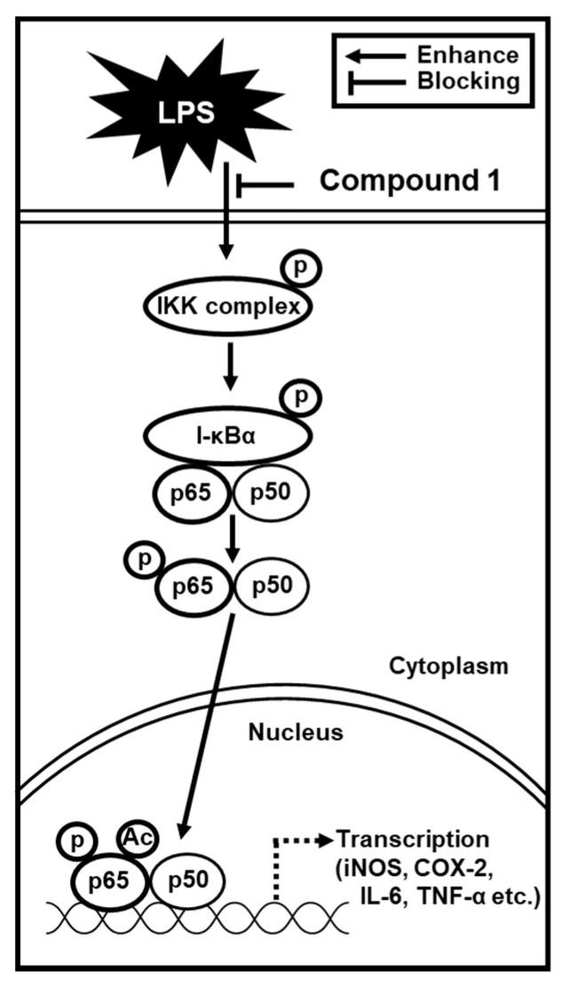 https://cdn.ncbi.nlm.nih.gov/pmc/blobs/b986/7143571/8a53a5313764/foods-09-00269-g007.jpg