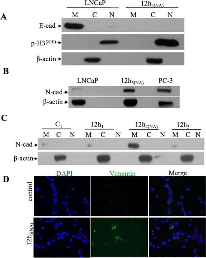 https://cdn.ncbi.nlm.nih.gov/pmc/blobs/b988/10500679/0270e3acee3f/ao3c03127_0003.jpg