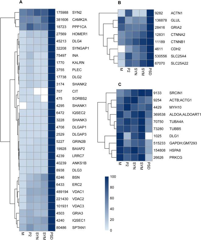 https://cdn.ncbi.nlm.nih.gov/pmc/blobs/b989/5608747/9e205a54e2ff/41598_2017_11690_Fig5_HTML.jpg