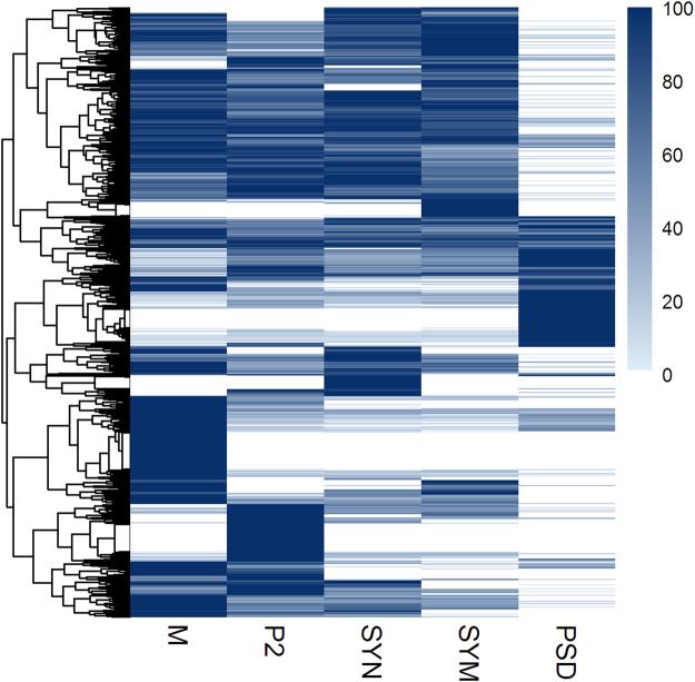 https://cdn.ncbi.nlm.nih.gov/pmc/blobs/b989/5608747/b081f26ac802/41598_2017_11690_Fig2_HTML.jpg