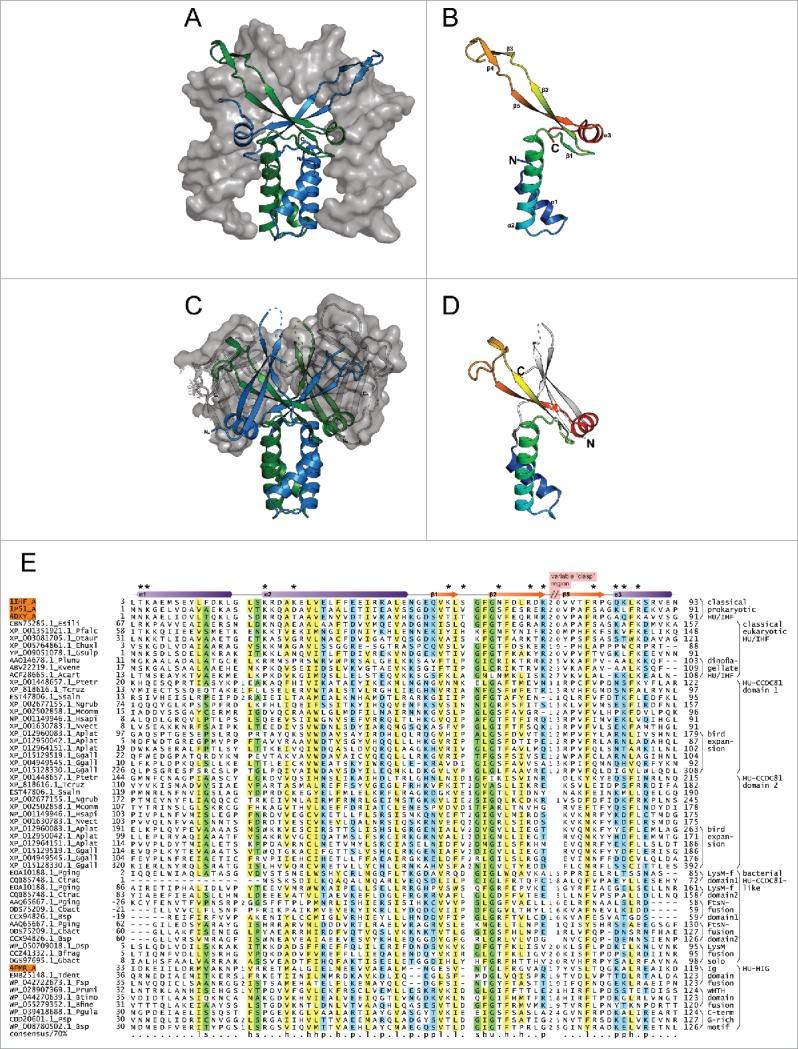 https://cdn.ncbi.nlm.nih.gov/pmc/blobs/b98b/5499826/c44b0b363bdc/kccy-16-11-1315494-g001.jpg