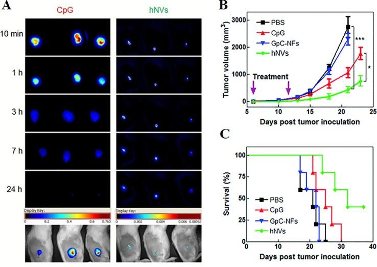 https://cdn.ncbi.nlm.nih.gov/pmc/blobs/b98c/6997790/5236992a3d1c/fphar-10-01585-g007.jpg