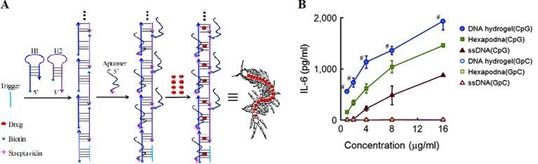 https://cdn.ncbi.nlm.nih.gov/pmc/blobs/b98c/6997790/647d2dca7b35/fphar-10-01585-g010.jpg