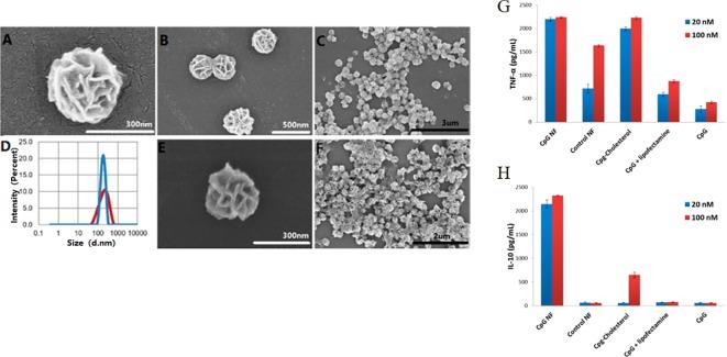 https://cdn.ncbi.nlm.nih.gov/pmc/blobs/b98c/6997790/64ec576de984/fphar-10-01585-g011.jpg