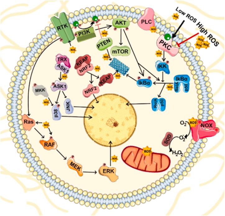 https://cdn.ncbi.nlm.nih.gov/pmc/blobs/b98d/10559285/dc6e1c9875df/gr1.jpg