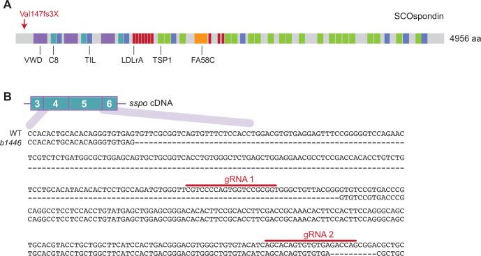 https://cdn.ncbi.nlm.nih.gov/pmc/blobs/b98d/9836392/cc3194646c39/elife-83883-fig1-figsupp3.jpg