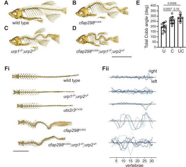 https://cdn.ncbi.nlm.nih.gov/pmc/blobs/b98d/9836392/f55ba48709a4/elife-83883-fig4.jpg