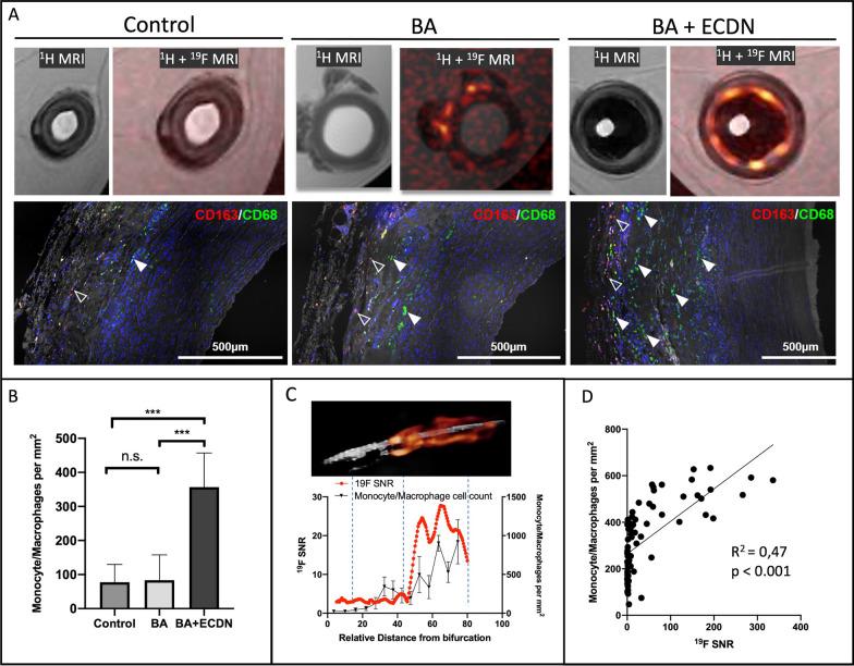 https://cdn.ncbi.nlm.nih.gov/pmc/blobs/b98f/10546783/27cc32ab2fc0/12968_2023_964_Fig5_HTML.jpg