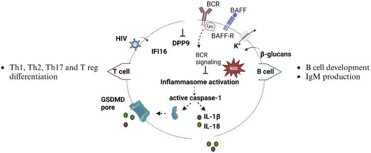 https://cdn.ncbi.nlm.nih.gov/pmc/blobs/b991/11928805/2e0a2e9f5dc8/gr3.jpg