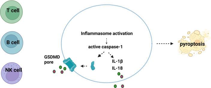 https://cdn.ncbi.nlm.nih.gov/pmc/blobs/b991/11928805/a8515507d75a/ga1.jpg