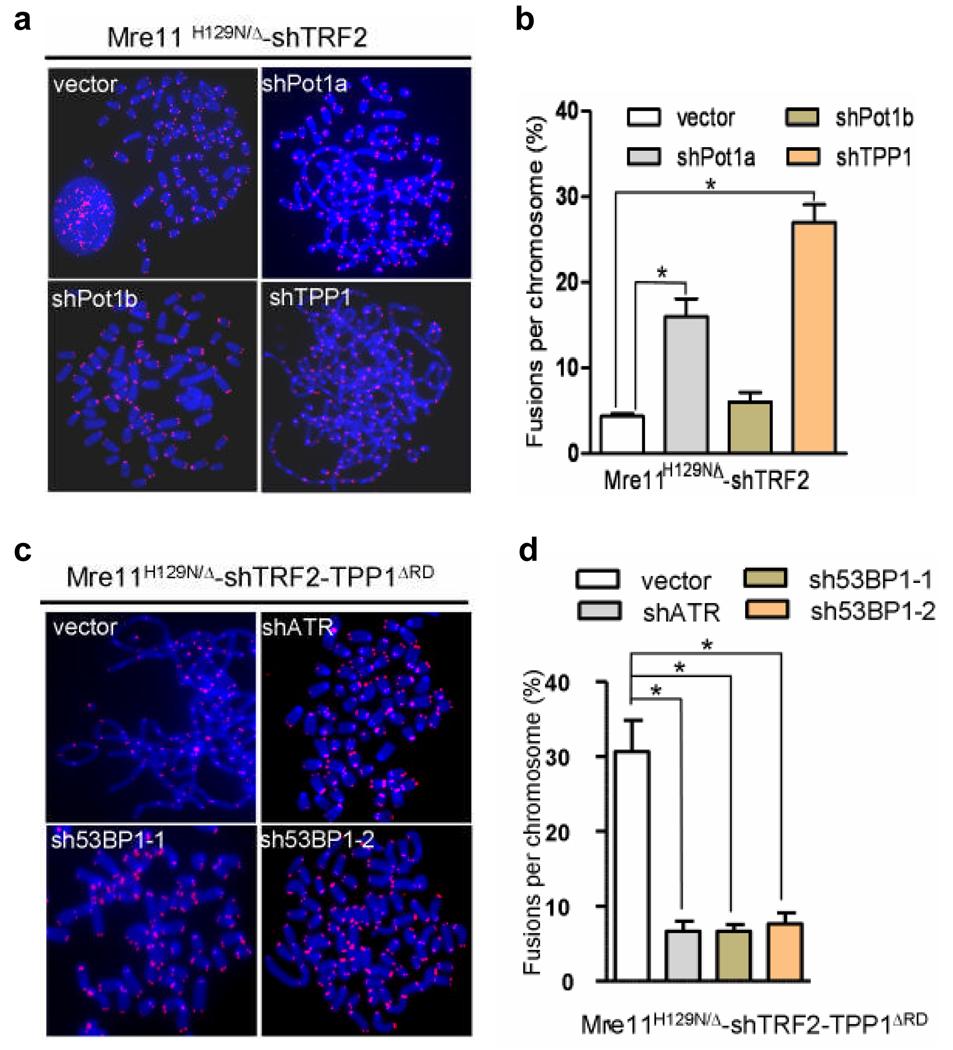 https://cdn.ncbi.nlm.nih.gov/pmc/blobs/b995/2760383/48bdb13c9c62/nihms123961f3.jpg