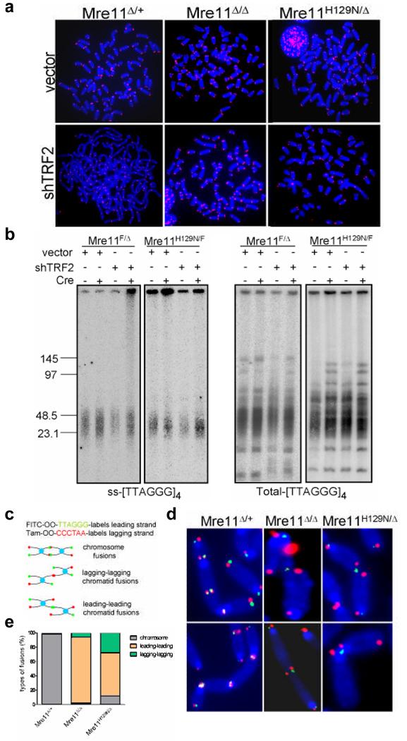 https://cdn.ncbi.nlm.nih.gov/pmc/blobs/b995/2760383/c1bb603f10a4/nihms123961f2.jpg