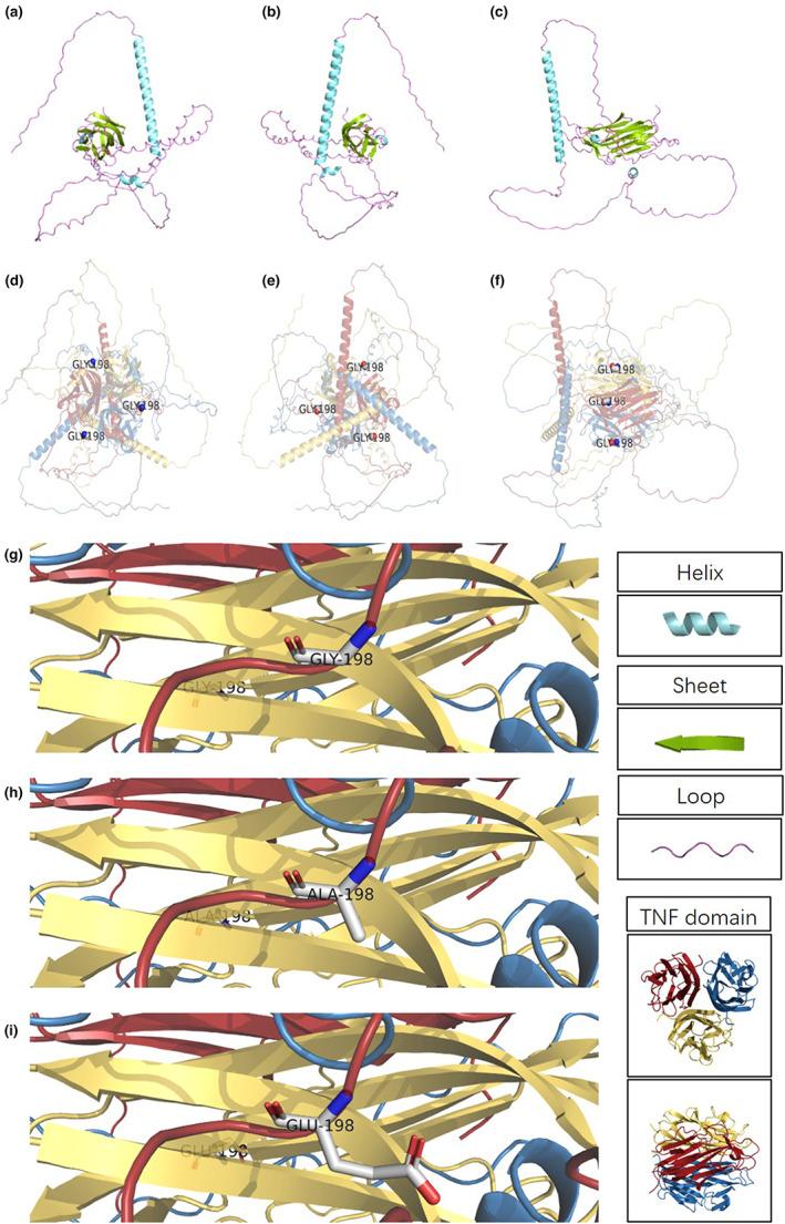 https://cdn.ncbi.nlm.nih.gov/pmc/blobs/b997/10094068/196690cddb3b/MGG3-11-e2119-g002.jpg