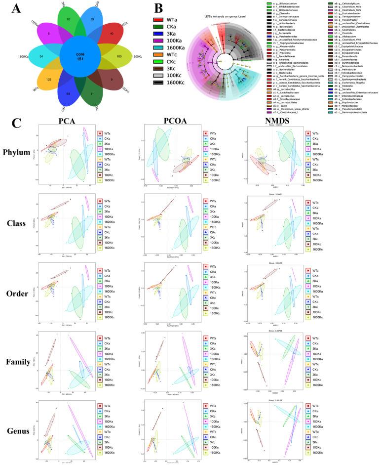 https://cdn.ncbi.nlm.nih.gov/pmc/blobs/b997/11118101/10d32e7ddd39/biology-13-00319-g004.jpg