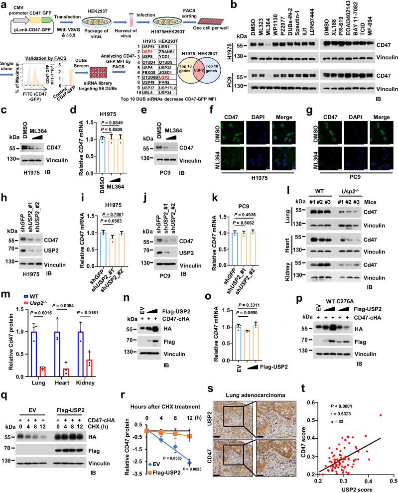 https://cdn.ncbi.nlm.nih.gov/pmc/blobs/b998/12084640/9895daed8b06/41467_2025_59621_Fig1_HTML.jpg