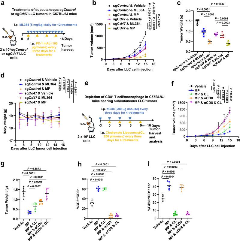 https://cdn.ncbi.nlm.nih.gov/pmc/blobs/b998/12084640/ee2e1d8c2346/41467_2025_59621_Fig6_HTML.jpg