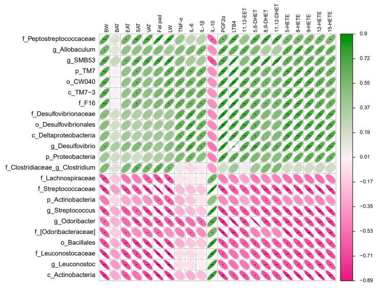 https://cdn.ncbi.nlm.nih.gov/pmc/blobs/b999/11174461/320aff94fb19/nutrients-16-01579-g007.jpg
