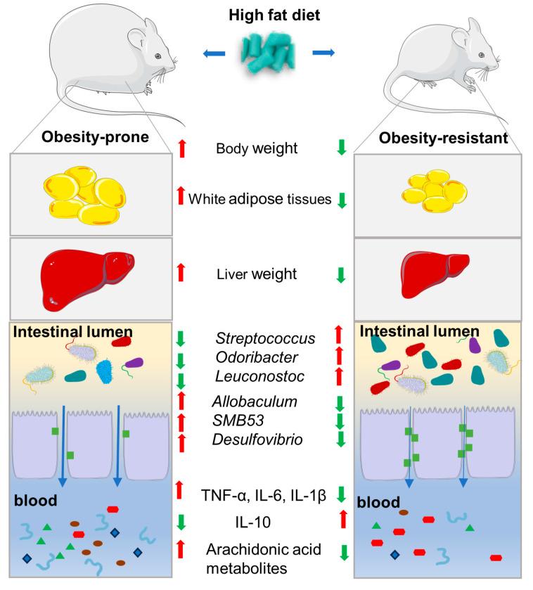 https://cdn.ncbi.nlm.nih.gov/pmc/blobs/b999/11174461/80f676010cd1/nutrients-16-01579-g008.jpg