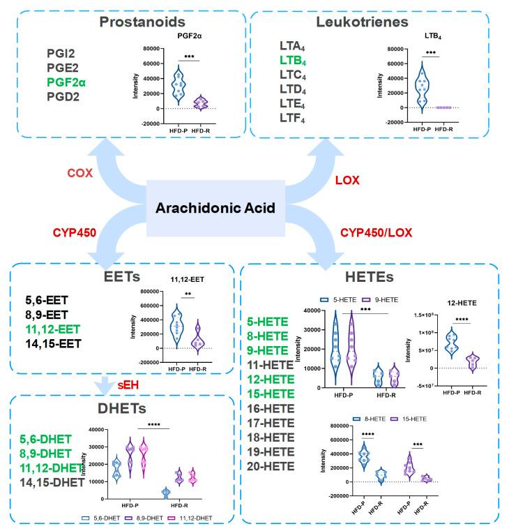https://cdn.ncbi.nlm.nih.gov/pmc/blobs/b999/11174461/af6223d8f6f9/nutrients-16-01579-g006.jpg