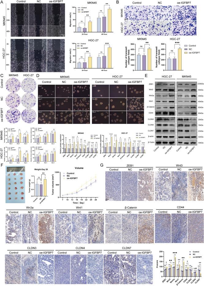 https://cdn.ncbi.nlm.nih.gov/pmc/blobs/b999/11442943/0269ec321027/41598_2024_73062_Fig5_HTML.jpg