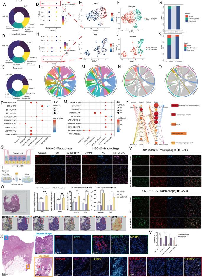 https://cdn.ncbi.nlm.nih.gov/pmc/blobs/b999/11442943/36224f8cb7e2/41598_2024_73062_Fig6_HTML.jpg