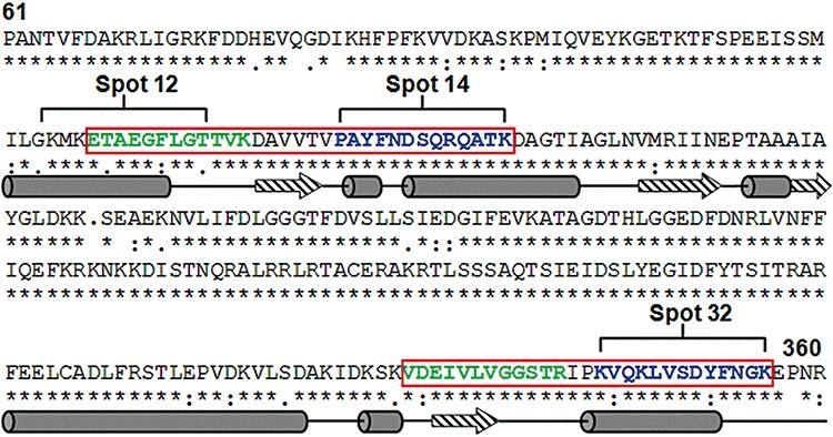 https://cdn.ncbi.nlm.nih.gov/pmc/blobs/b999/2780927/9a273969f685/mmi0070-1246-f5.jpg