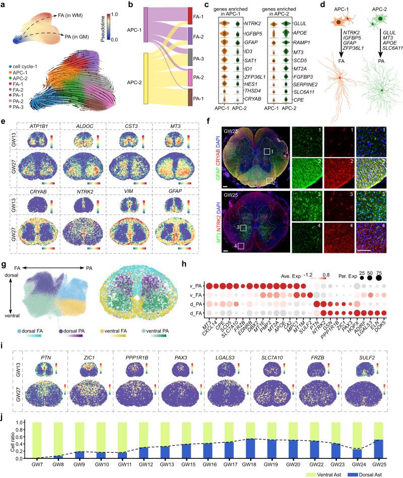 https://cdn.ncbi.nlm.nih.gov/pmc/blobs/b99a/10907391/96d3264b724f/41422_2023_897_Fig6_HTML.jpg