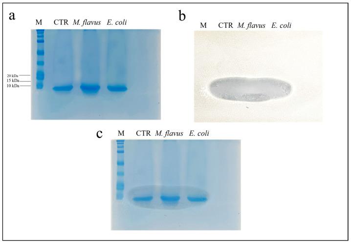 https://cdn.ncbi.nlm.nih.gov/pmc/blobs/b99b/10231096/8d78da0f6f0d/insects-14-00464-g003.jpg