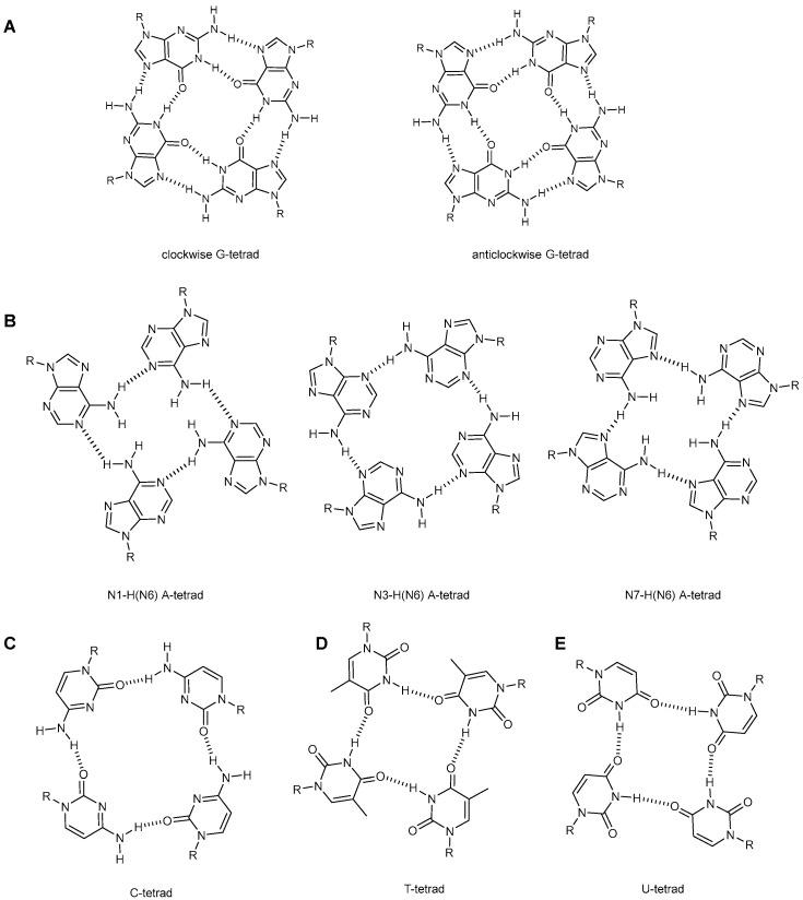 https://cdn.ncbi.nlm.nih.gov/pmc/blobs/b99b/9414646/5c3799af17a3/molecules-27-05287-g001.jpg