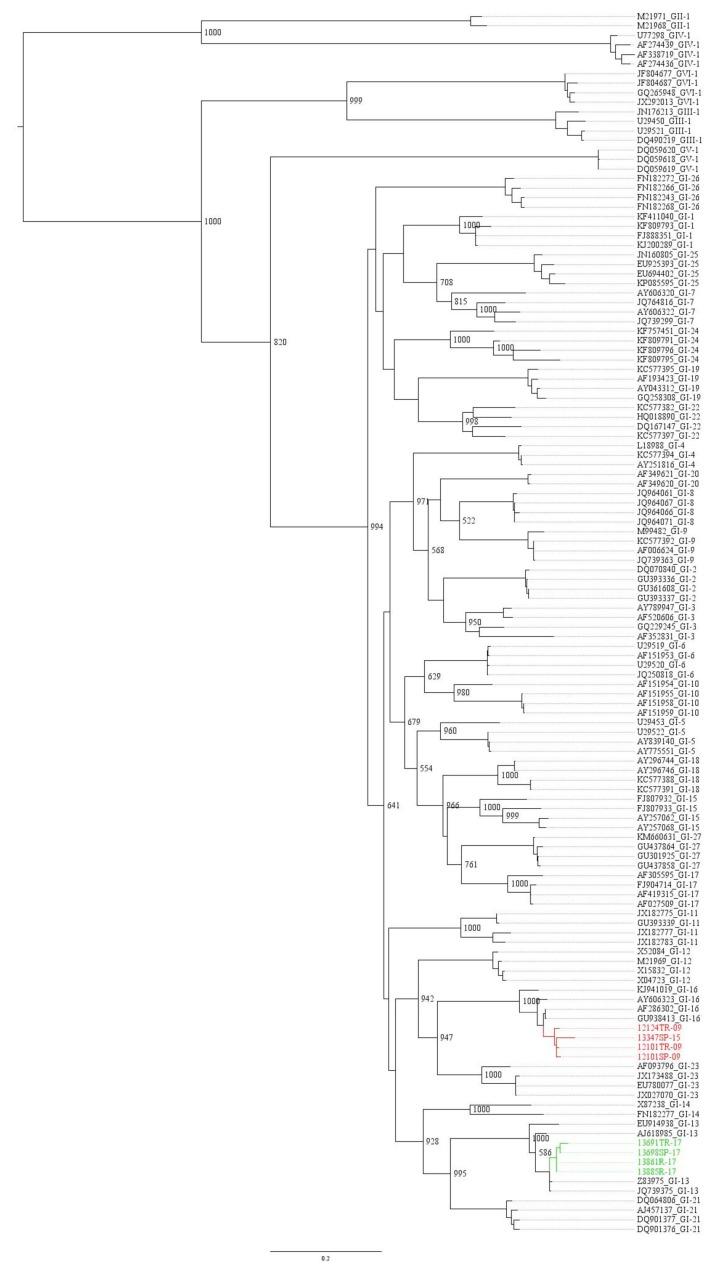 https://cdn.ncbi.nlm.nih.gov/pmc/blobs/b99c/6770500/674b49ce1711/animals-09-00656-g001.jpg