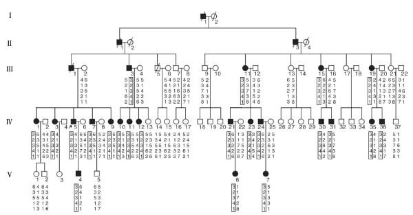 https://cdn.ncbi.nlm.nih.gov/pmc/blobs/b99d/2829541/ef65948c3c4a/1471-2350-11-23-1.jpg