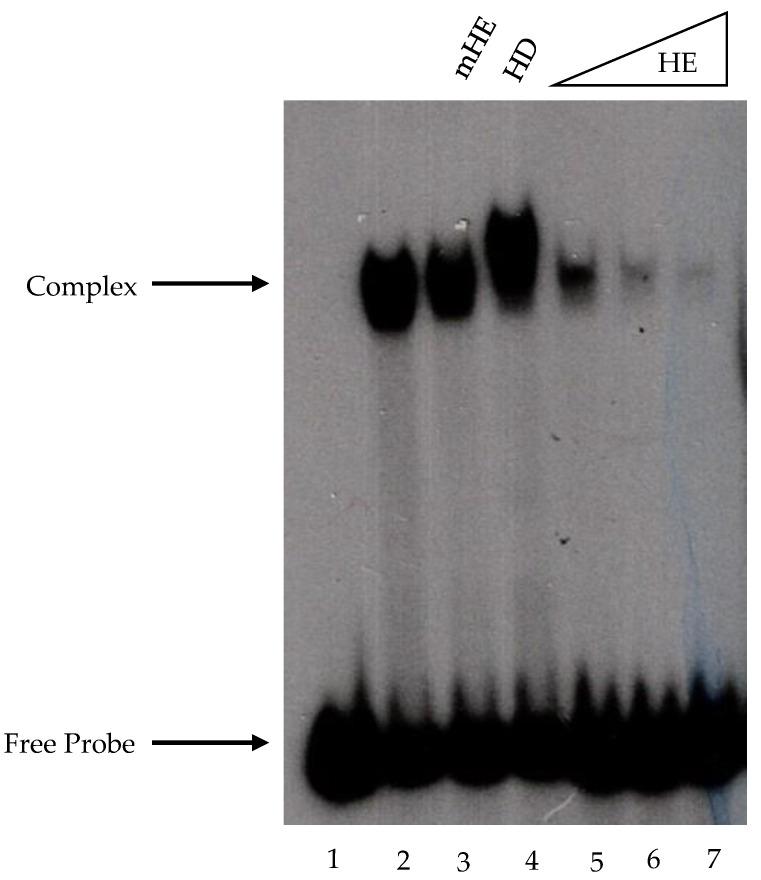 https://cdn.ncbi.nlm.nih.gov/pmc/blobs/b9a0/10253590/f8f9449b6a1a/ijms-24-09472-g001.jpg