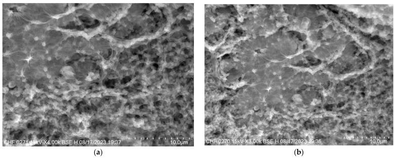 https://cdn.ncbi.nlm.nih.gov/pmc/blobs/b9a0/11279931/051df61d1bd4/pharmaceutics-16-00960-g010.jpg