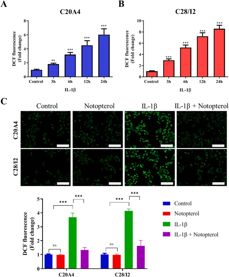 https://cdn.ncbi.nlm.nih.gov/pmc/blobs/b9a3/10963379/ee411c0505be/gr2.jpg