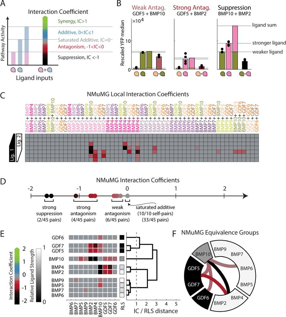 https://cdn.ncbi.nlm.nih.gov/pmc/blobs/b9a3/9127470/5dfb4e90a9f1/nihms-1799293-f0003.jpg