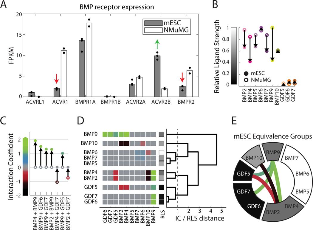https://cdn.ncbi.nlm.nih.gov/pmc/blobs/b9a3/9127470/860e5147681b/nihms-1799293-f0004.jpg