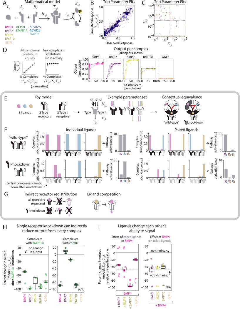 https://cdn.ncbi.nlm.nih.gov/pmc/blobs/b9a3/9127470/d35b9616b858/nihms-1799293-f0007.jpg